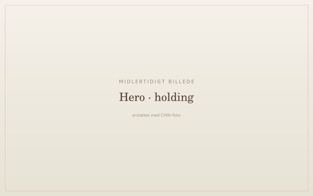 Midlertidigt billede – erstattes med CHAI-foto (Hero · holding)